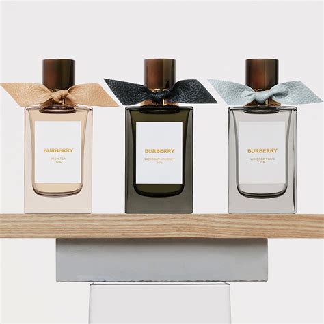 burberry hondenmand|burberry signatures for men.